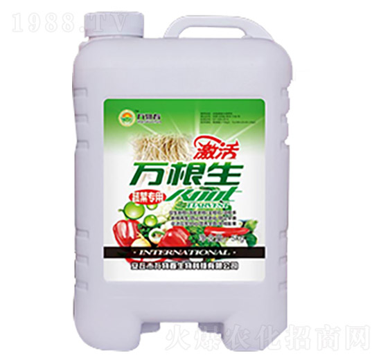 �߲����f����-�f�ﴺ