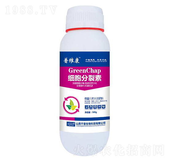 ��(x��)��������-�վS��-ǧ������