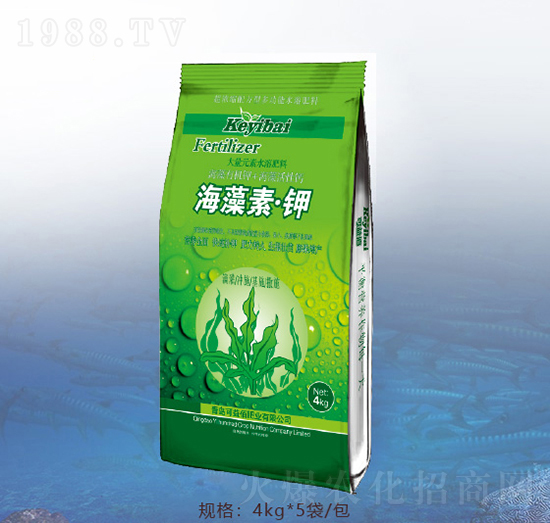 �����ء��-�ٝ��ݰ�