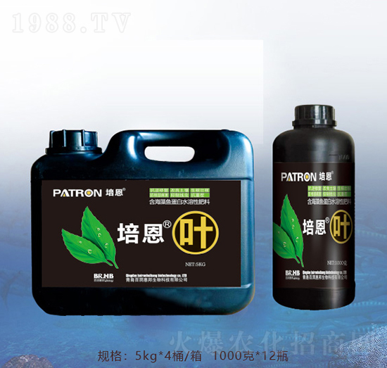 ����~-�ٝ��ݰ�