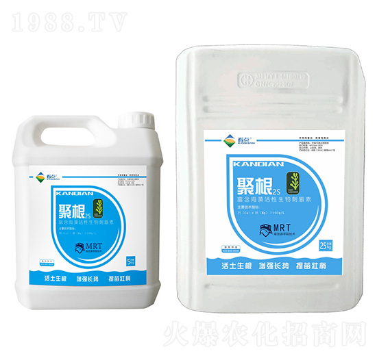 ���������������̼���-�۸�2S-���c