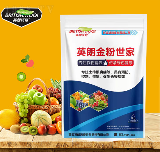 ΢�������-Ӣ������