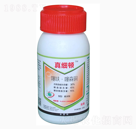 30%��߻����ɭ�~-�漚�D-�|�L����