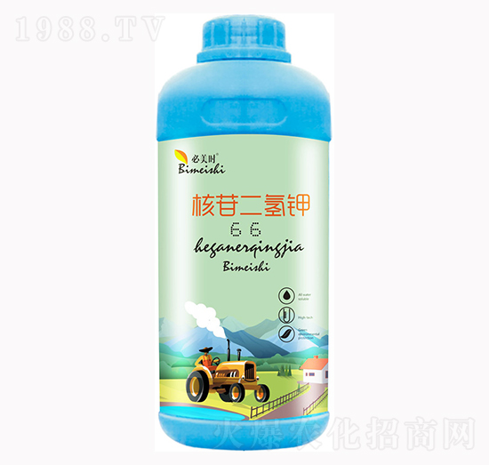 ���ն����-�����r(sh��)-�f���r(n��ng)��