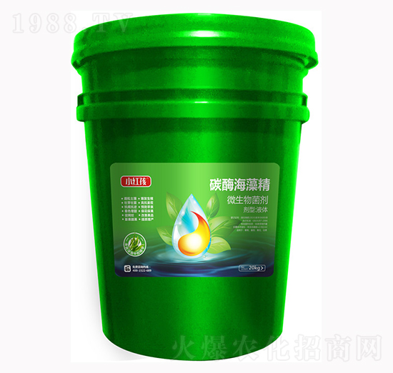 ̼ø���徫΢�������-С�t��-�f���r��