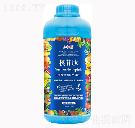 �����-С�t��-�f(w��n)���r(n��ng)��