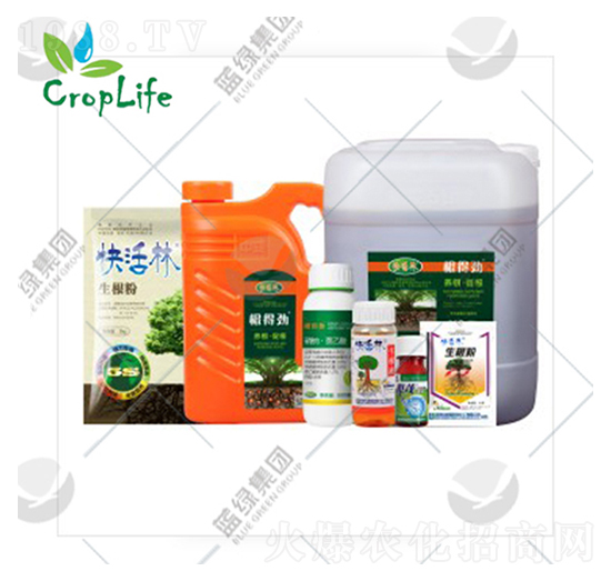 �ЙC��-����˹����