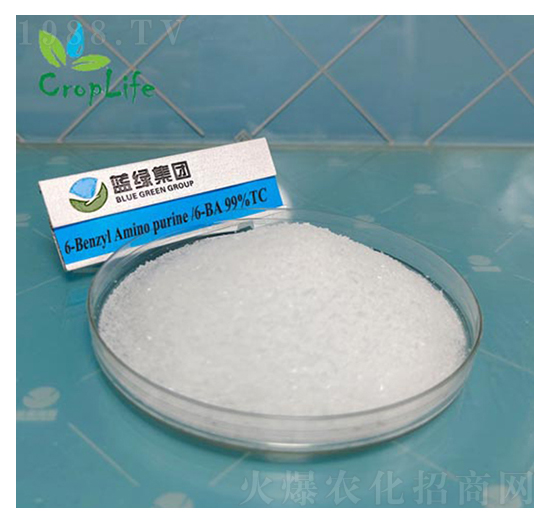 6-�S��������-����˹����