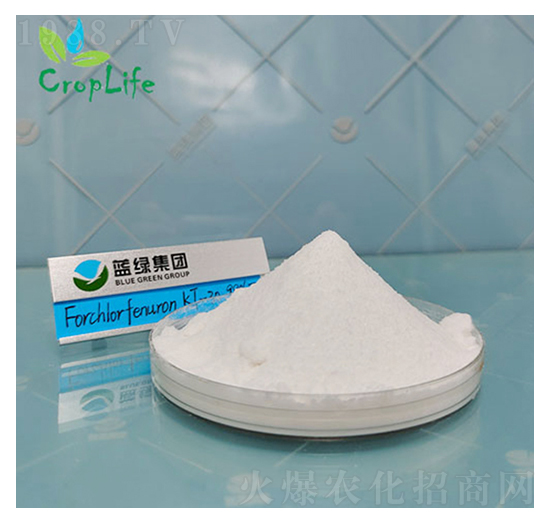 ��������-����˹����