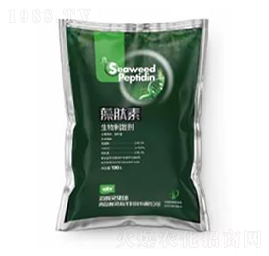 ������-�����m�r�I(y��)