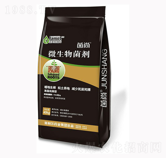 �ͺ�΢�������-����-�W��˹