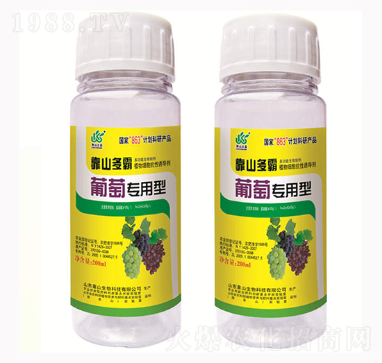 ���ь�(zhu��n)����-��ɽ����