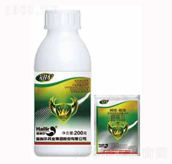 �ڗ�x��-������