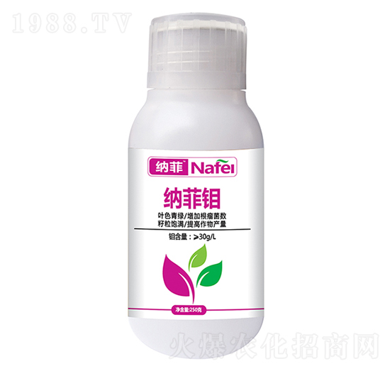 納菲鉬葉面肥-沃邦肥業(yè)