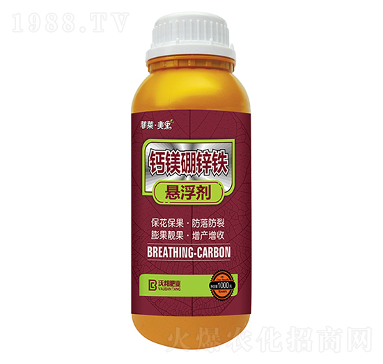 �}�V���\�F-���R������-�ְ�ʘI(y��)