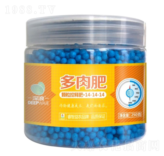 多肉型顆?？蒯尫?睿智益農(nóng)