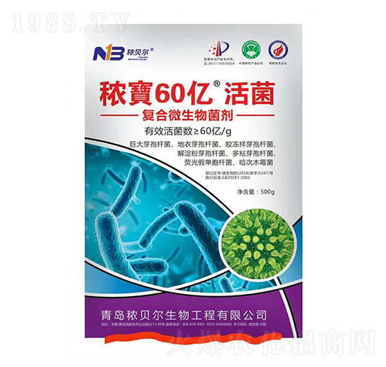 �ͺ�΢�������-����60�|���-��ؐ��