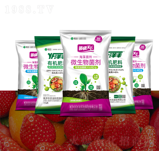 ���S�����ЙC(j��)��-�����S