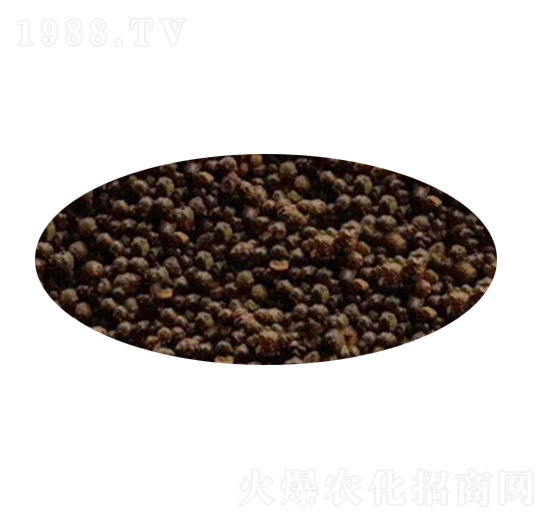 �����S������w��-����