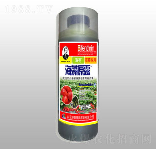 ����ԭ¶����ݮ�͡�-ِ�(y��ng)�r(n��ng)��