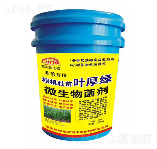 �²ˌ��ôָ������~��G-�r���S��