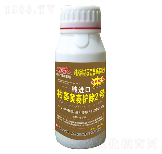 ΢�������-���M(j��n)�ڿ�ή�Sή�P��2̖-���S��