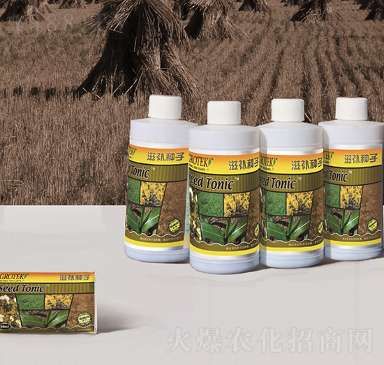 �N��̎�턩-���a(b��)�N��-������