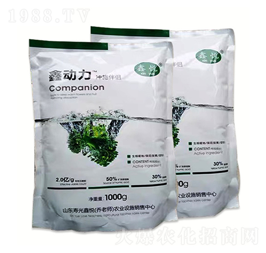 �΄����_ʩ��H-�ΐ��r�I(y��)