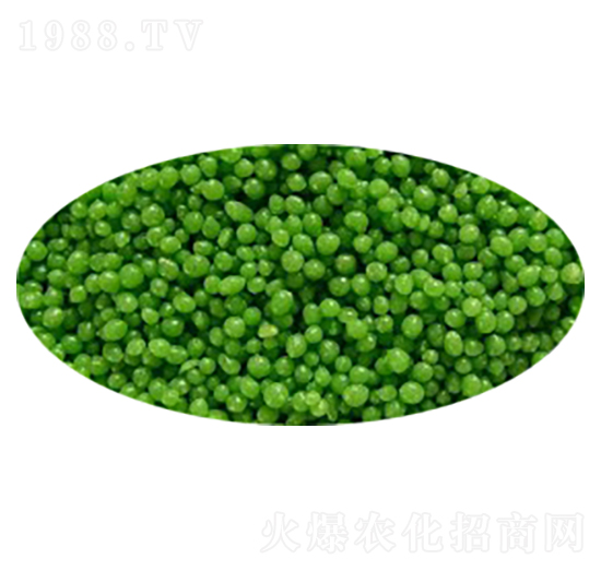 �����{(di��o)�턩���Gɫ��-���R��