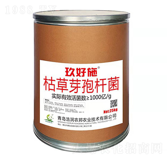 �ݲ�ѿ�ߗU��-����ʩ-�Ɲ��r��