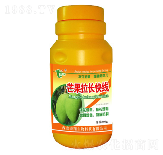 芒果拉長快線-杰翔生物