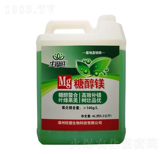 �Ǵ��V-������-��������