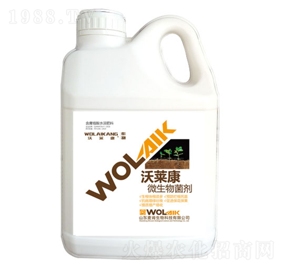 ���R��΢�������-��������