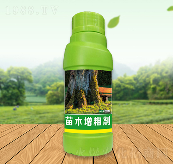 ��ľ���ք�-��Ԫ��