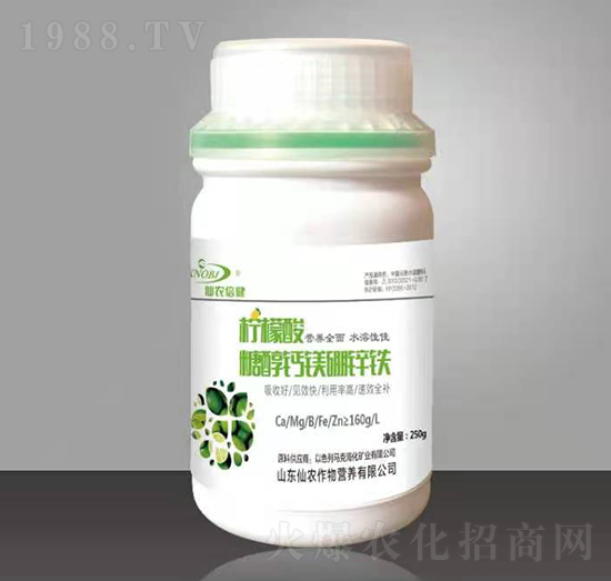 ������-�Ǵ��}�V���\�F-���r����