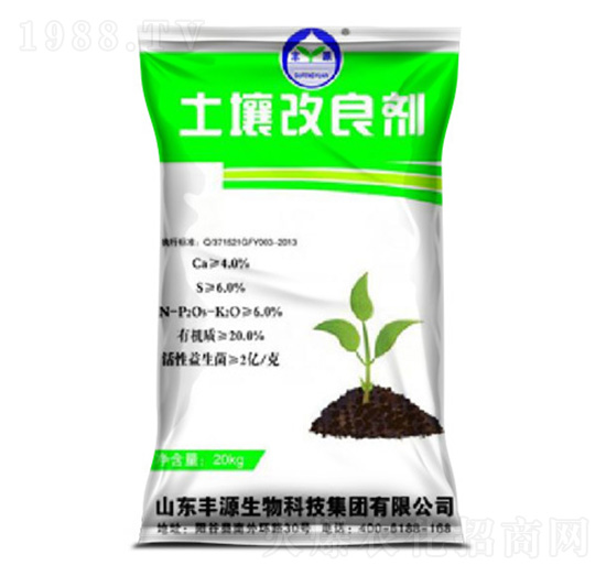 ����������-�SԴ����