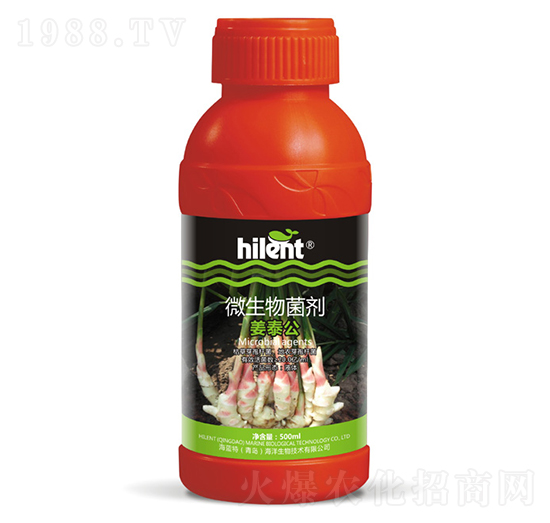 500ml΢�������-��̩��-���{(l��n)��