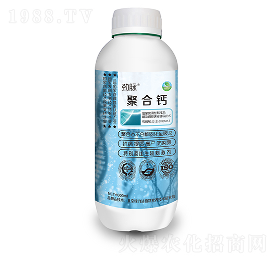 �ۺ��}-���}