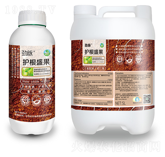 �o��ʢ��-���}