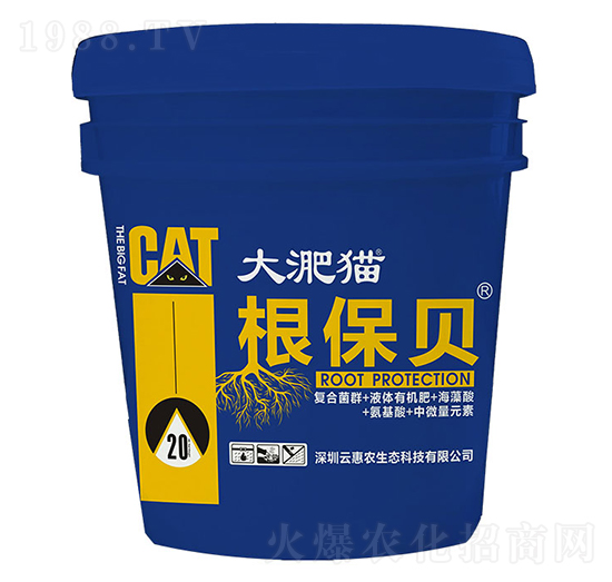 大淝貓根保貝-云惠農(nóng)