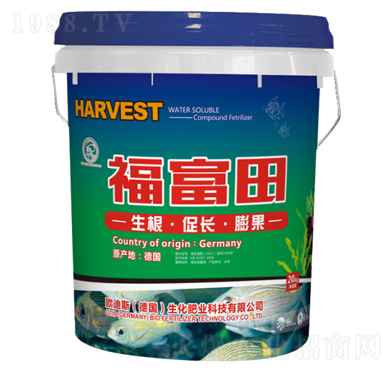 ������-�A��(chu��ng)(li��n)��