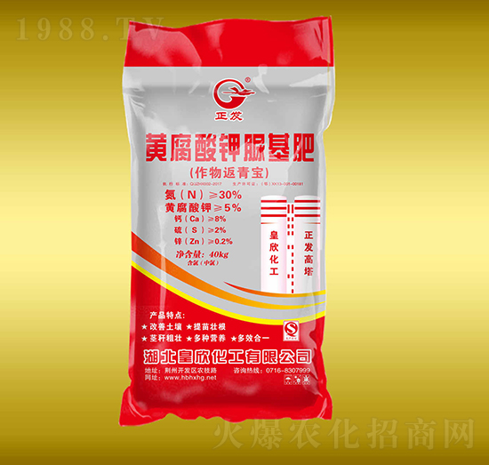 �S����⛻���-����