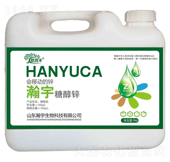 �Ǵ��\-�������