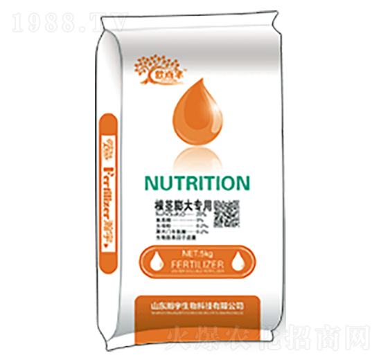 ���o�����-�������