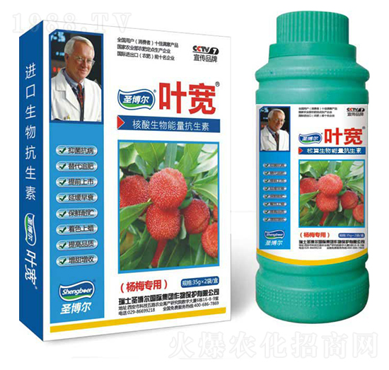 ��÷�����~���-��������ø�T����-�~��-ʥ��������