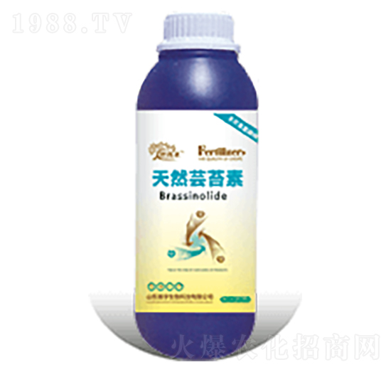 ��Ȼ�|̦��-�������