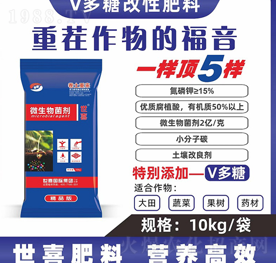 �����؁�΢�������-��ϲ