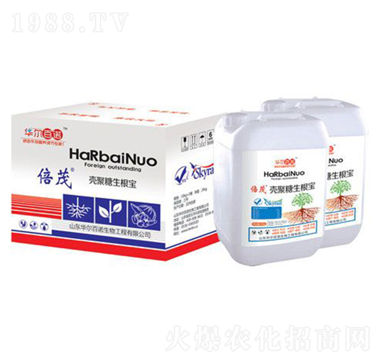 ������������-�A�����Z