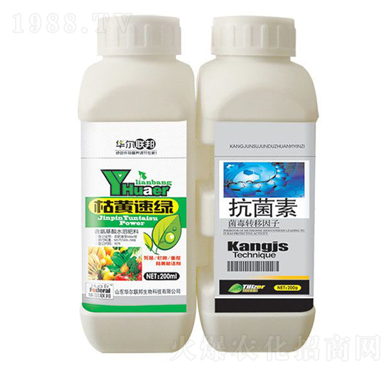 ���S�پG+������-�A�����Z