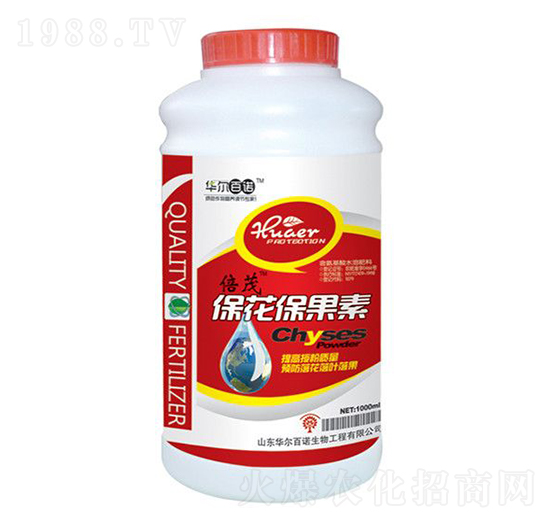 ����������-�A�����Z